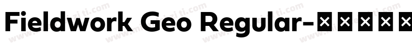 Fieldwork Geo Regular字体转换